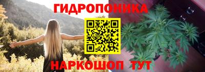 соль ск Обь