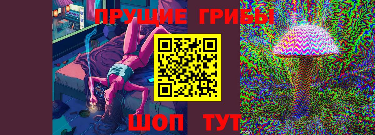 магазин продажи   Галлюциногенные грибы Cubensis  Пугачёв  Вход с VPN  Галлюциногенные грибы ЛСД 